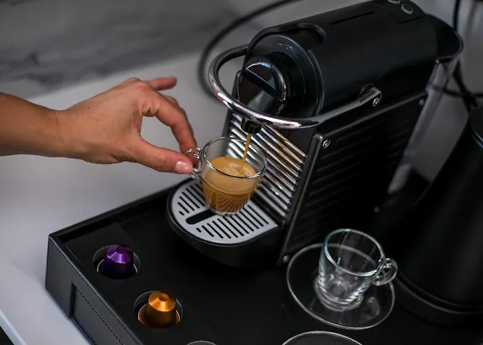 Anemone Premium ファリラキ