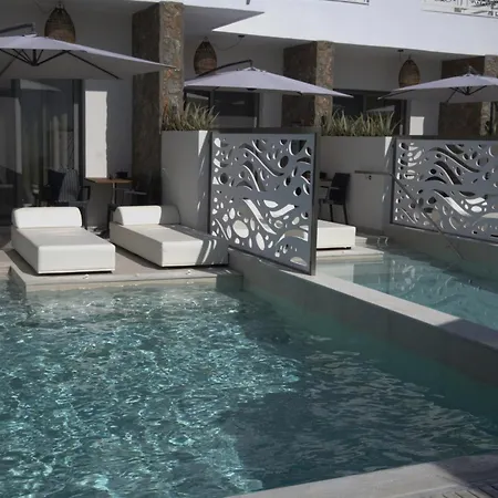 Anemone Premium פליראקי