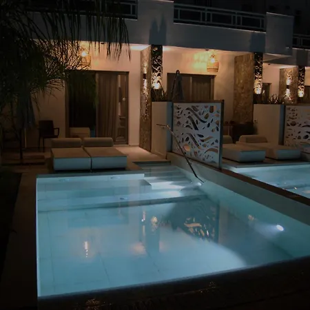 Anemone Premium פליראקי