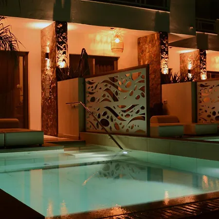 Appartamento Anemone Premium