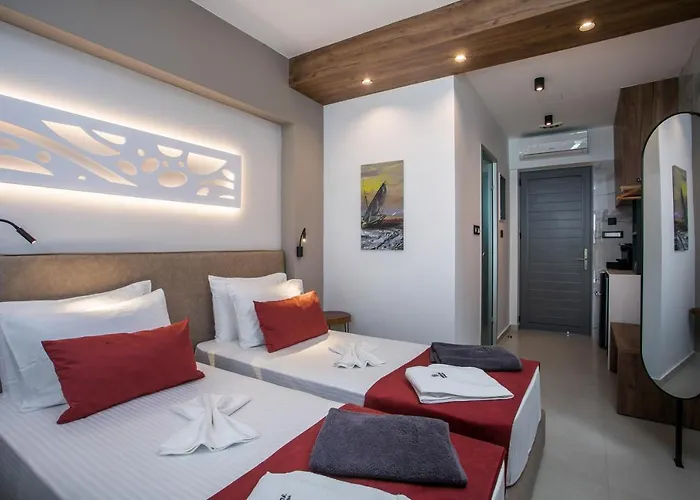 Anemone Premium 팔리라키