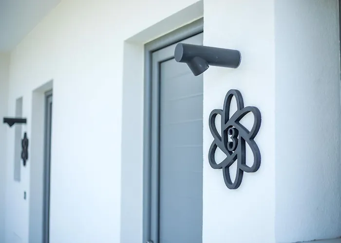 Anemone Premium Daire *